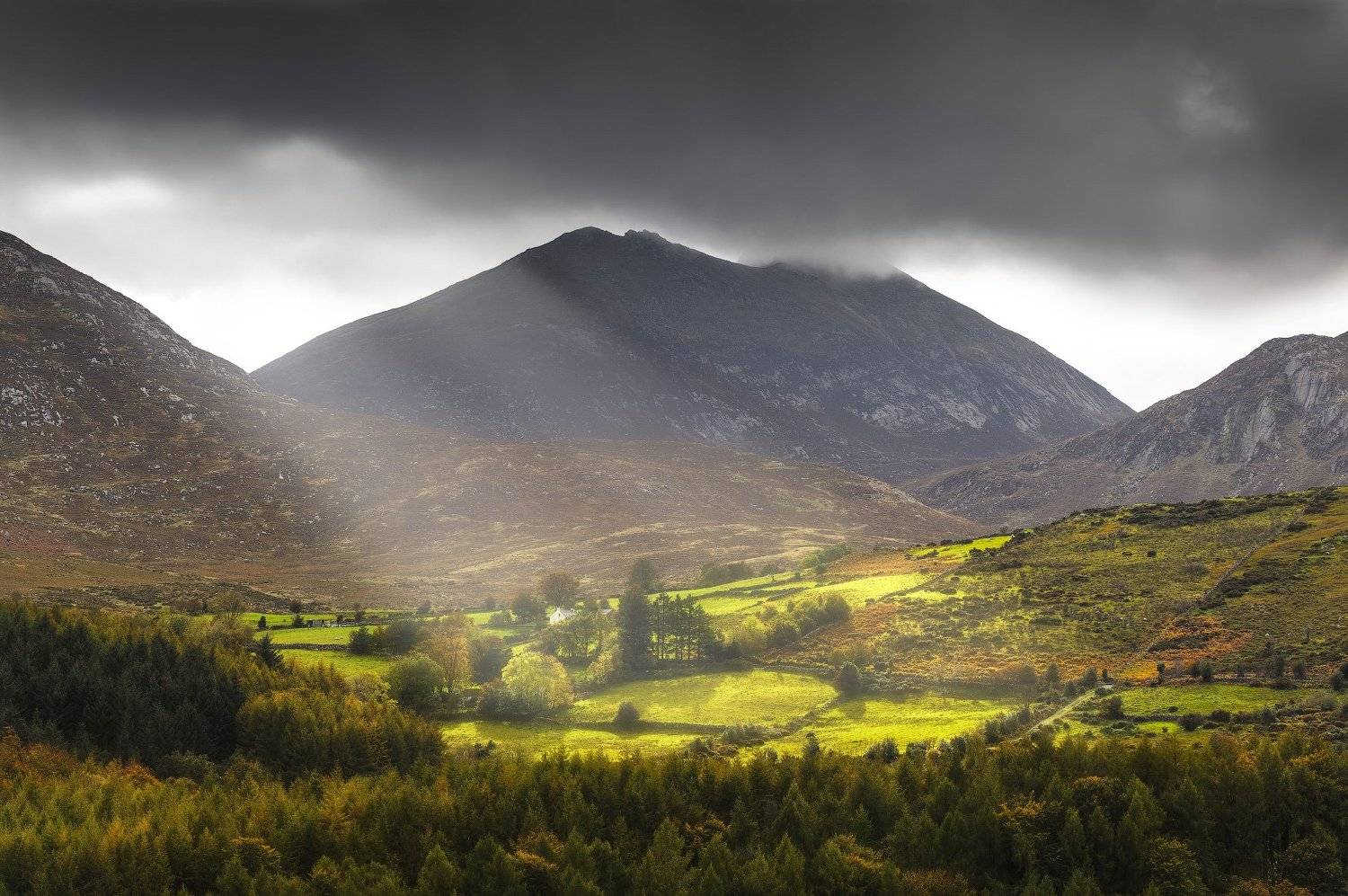 , Рашид Хайданов