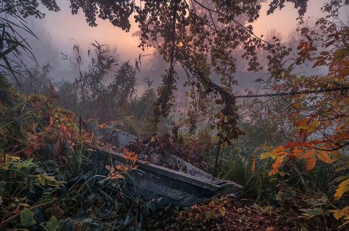 До следующего лета...