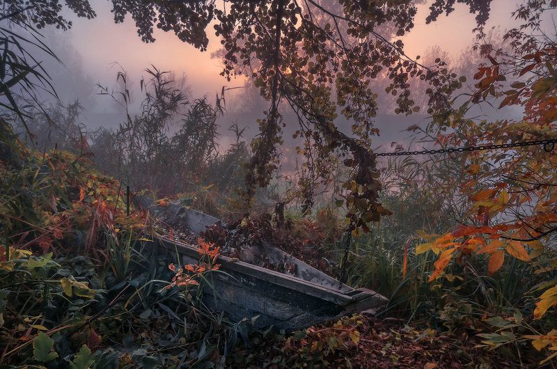 утро, рассвет, туман, солнце, река, пейзаж, лодка, пристанище, осень, камыш До следующего лета... фото превью