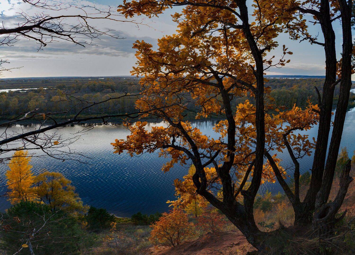 , Марат Кучкаев