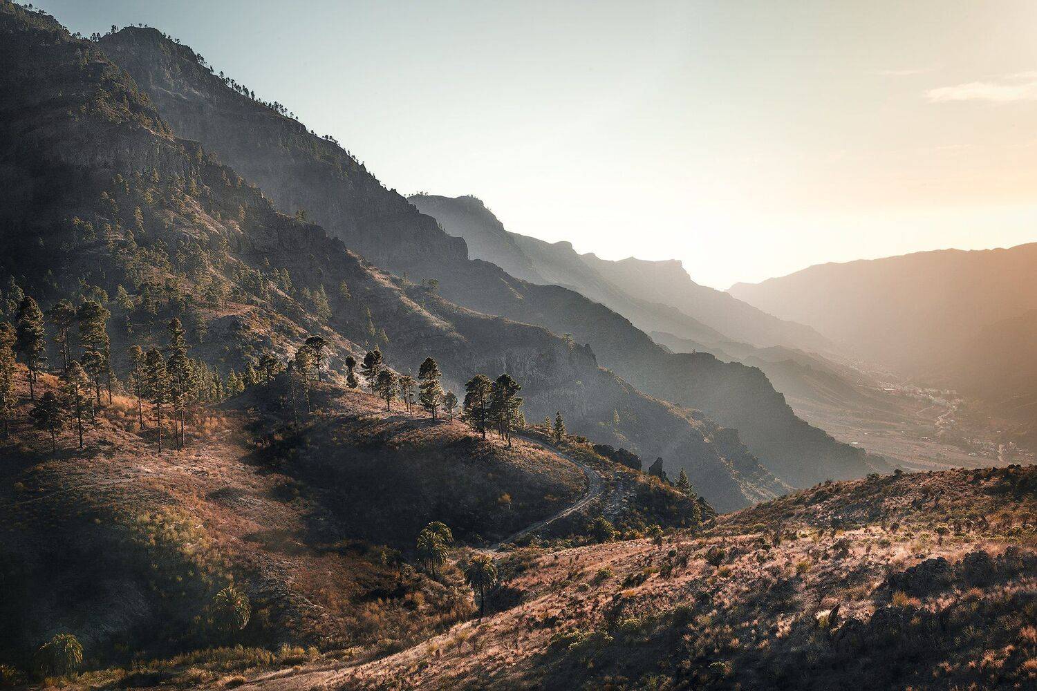 закат, горы, деревья, сосны, пальмы,свет, перспектива, канарские острова, лес, Андрей Огнев