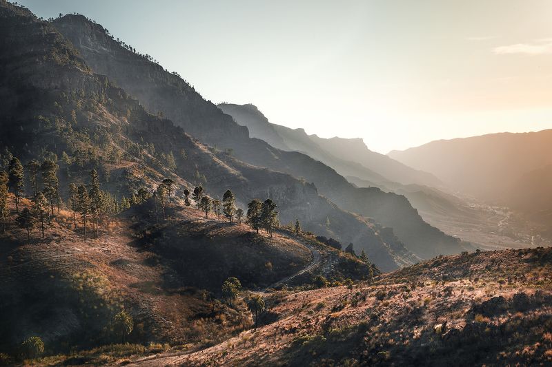 закат, горы, деревья, сосны, пальмы,свет, перспектива, канарские острова, лес *За горами горы* фото превью