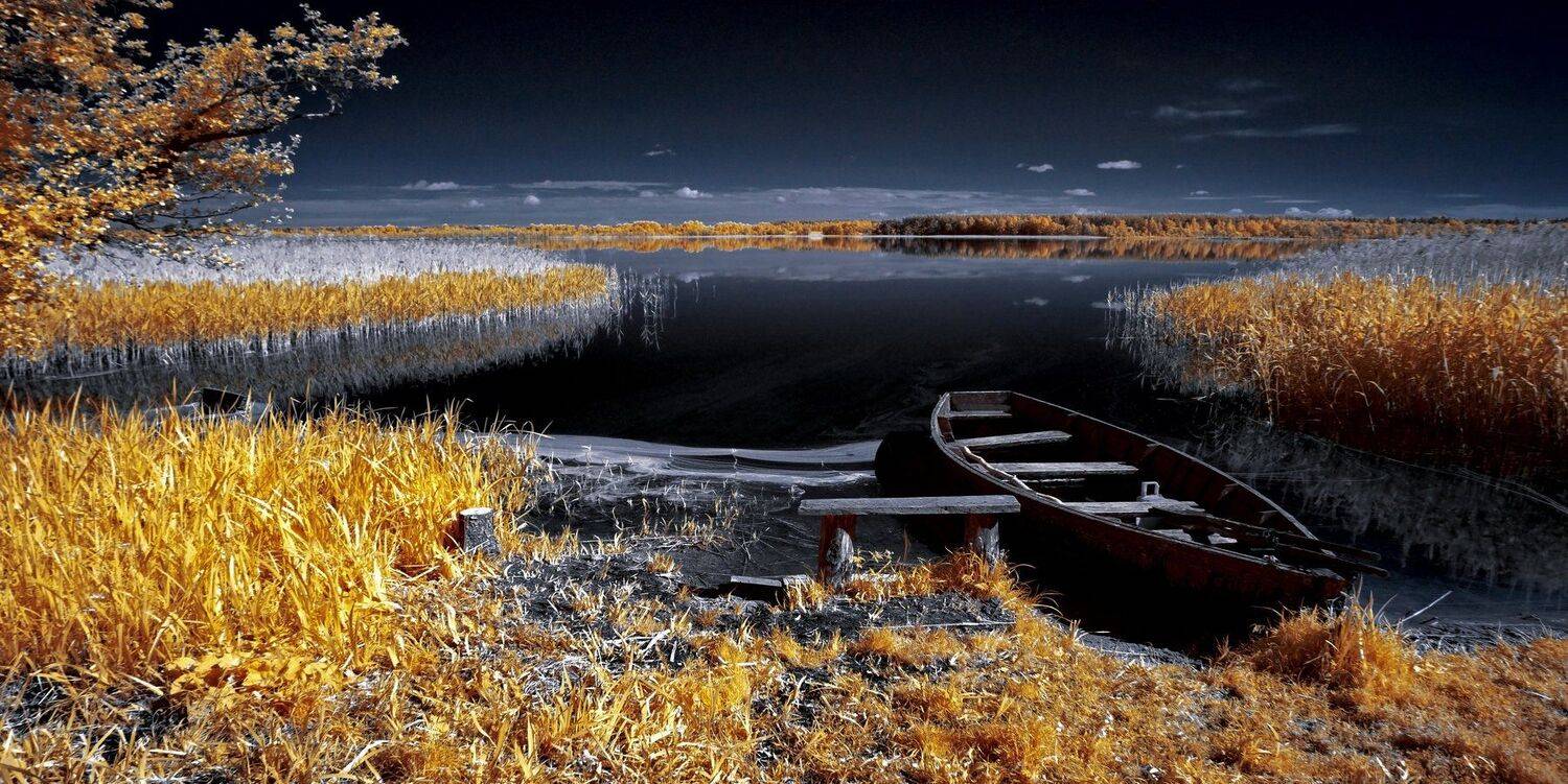 infrared,ик-фото,инфракрасное фото,инфракрасная фотография,пейзаж,природа,беларусь,лето, Sixten ( Сергей )