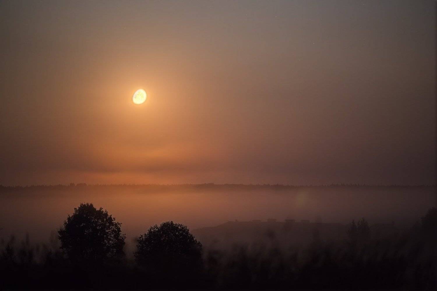 , Сергей Кузнецов