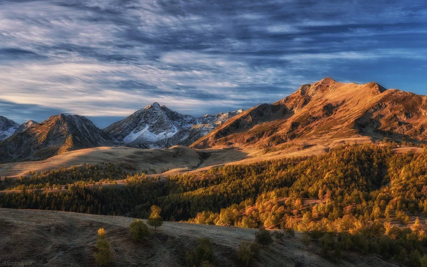 , Александр Круль