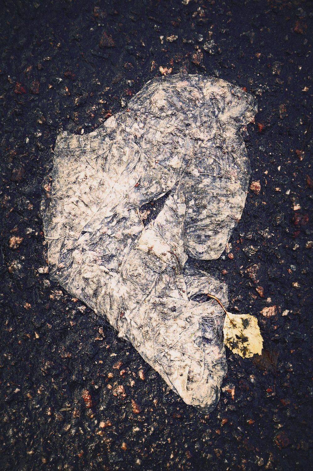 , ПОЛУЕВ ИЛЬЯ