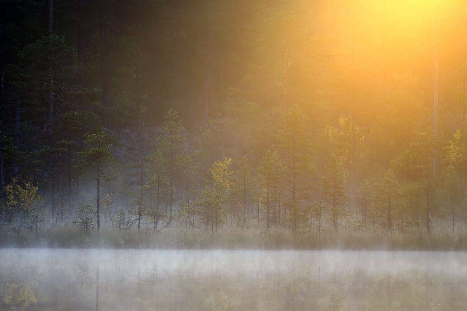 карелия, Виктор