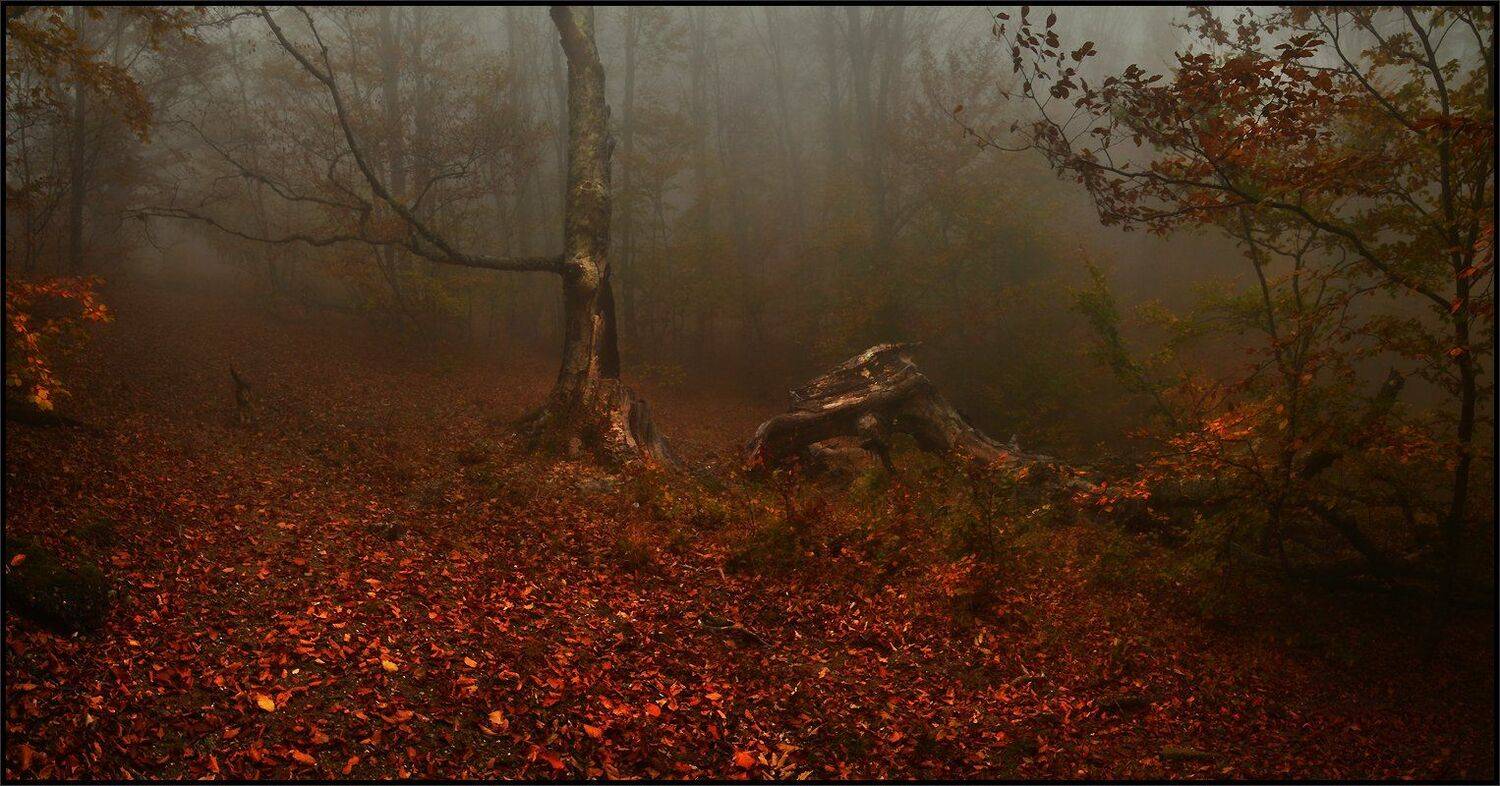 , Владимир Метцгер