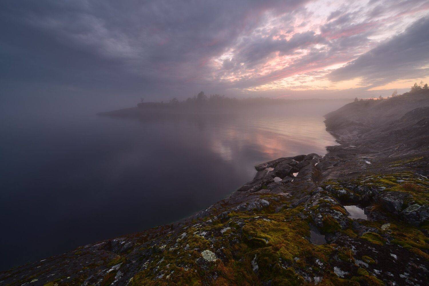 , Максим Евдокимов (www.wildphotorus.ru)