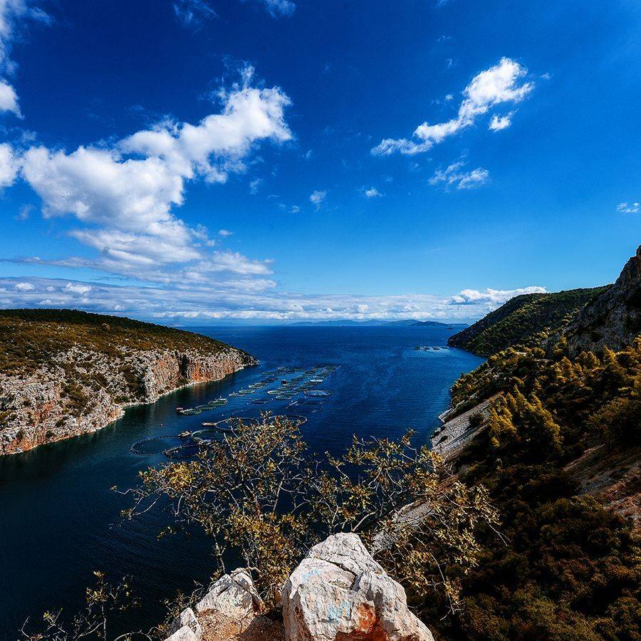 , Иван Манкевич