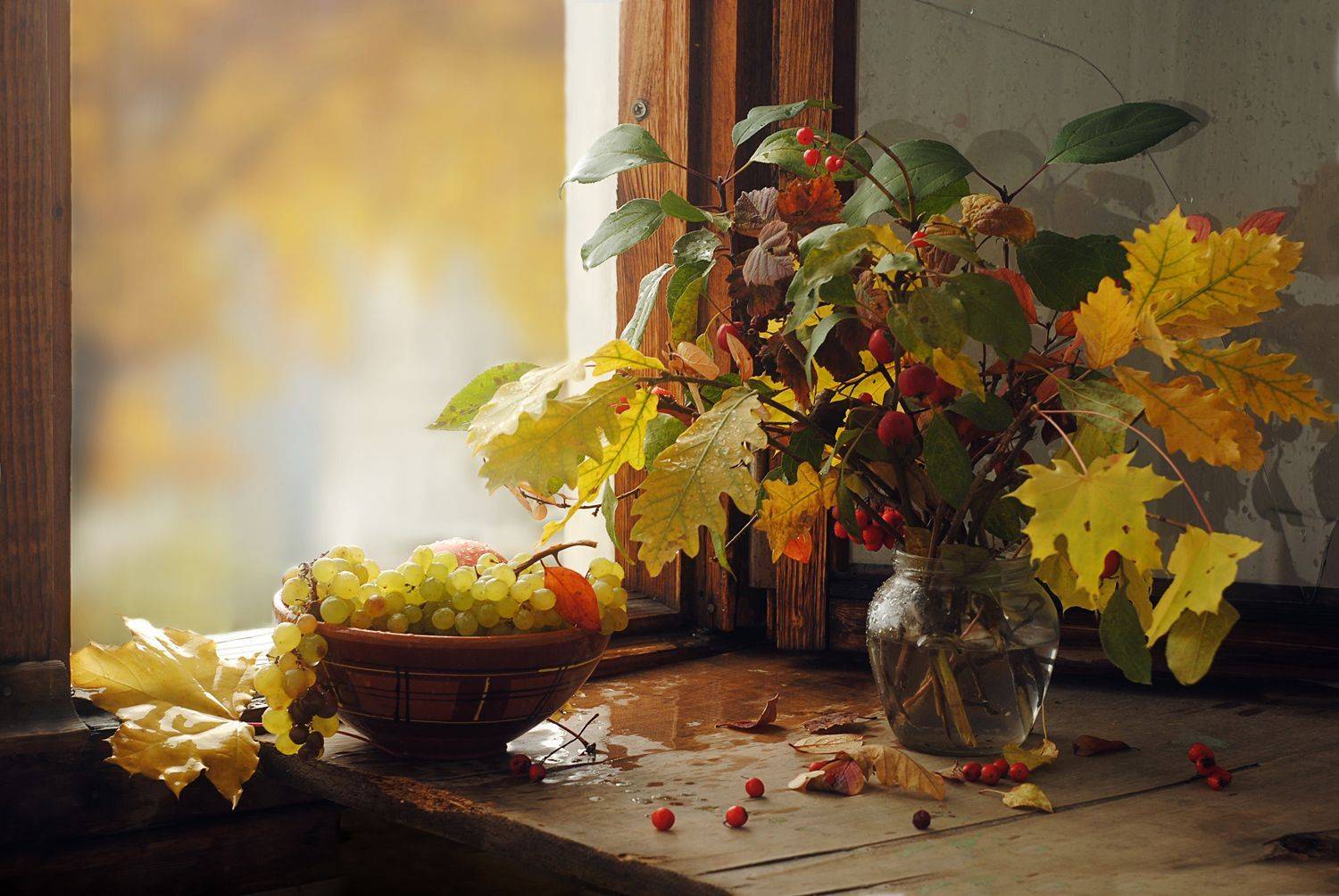 виноград, Elena Pankova