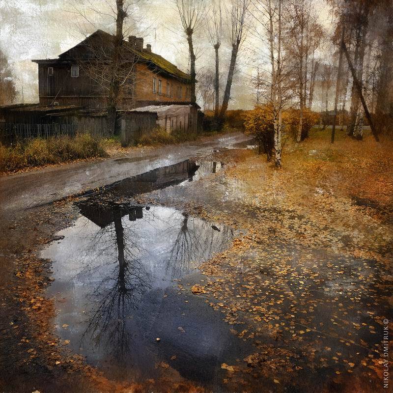 пейзаж, музыка, николай дмитрук