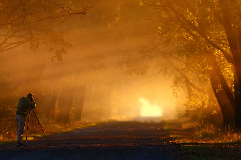 Про свет фото превью