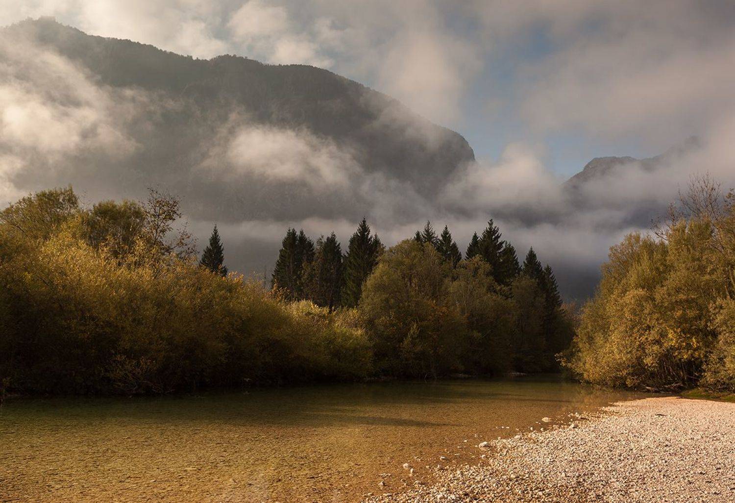 , Света  Черникова