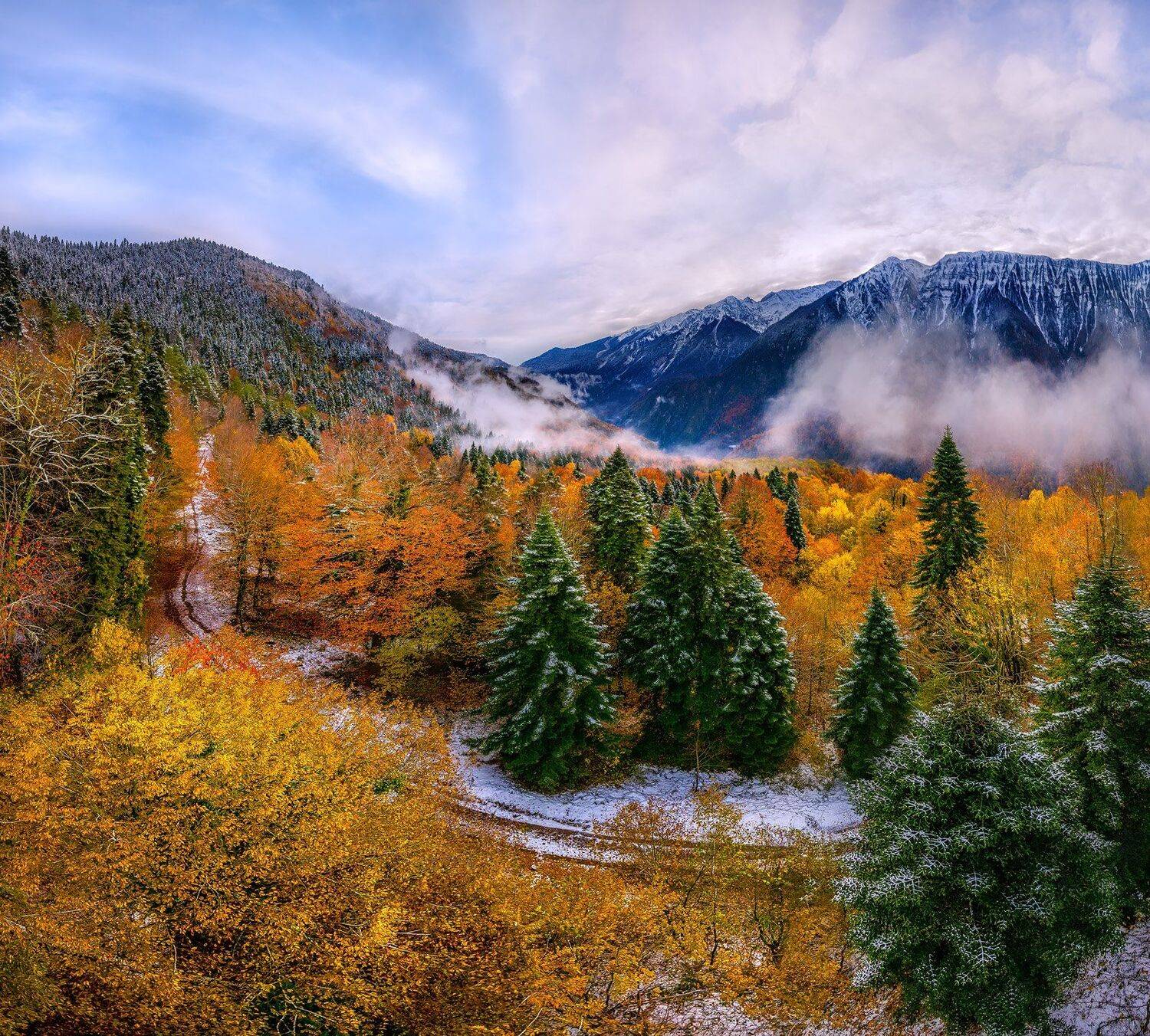 абхазия, рицинский национальный парк, пихты, осень, снег, долина реки, бзыбь, горы, вершины, лес, парк, заповедник, дорога., Лашков Фёдор