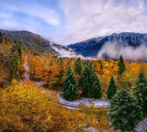Реликтовый парк в Абхазии