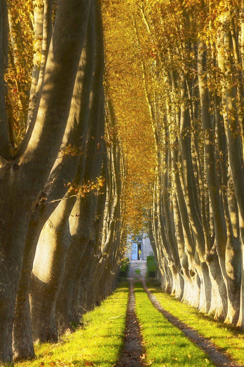 осень, Андрей Чабров