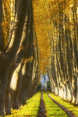 Welcome, Autumn!