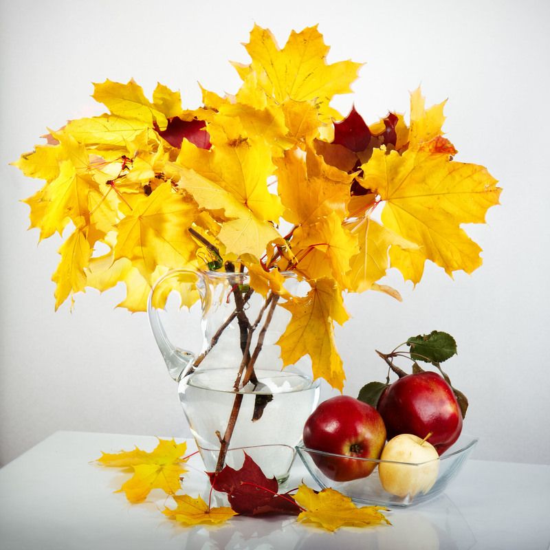 осень фото превью