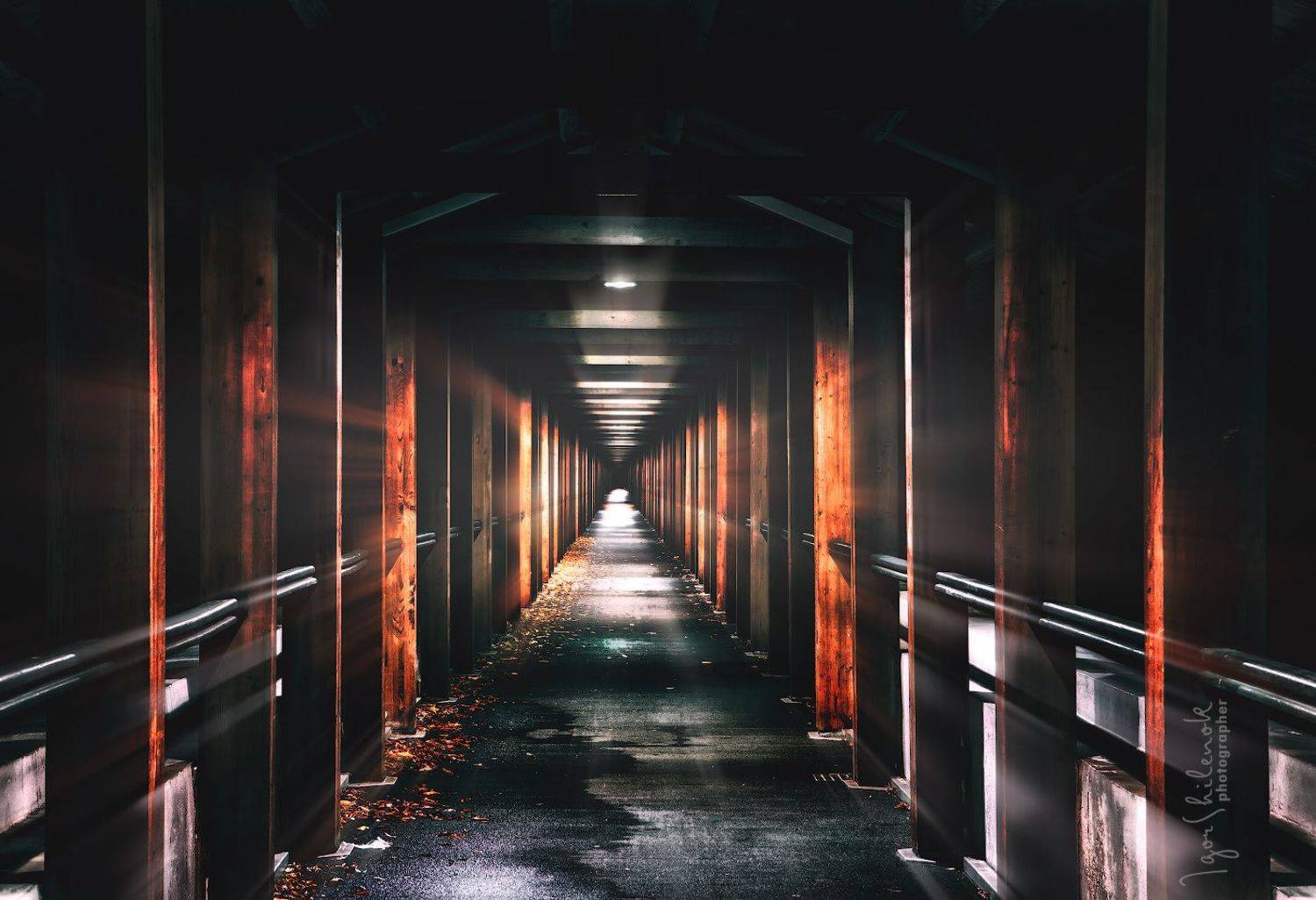 , Игорь Шиленок