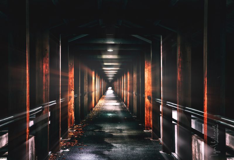 Путешествие во времени фото превью