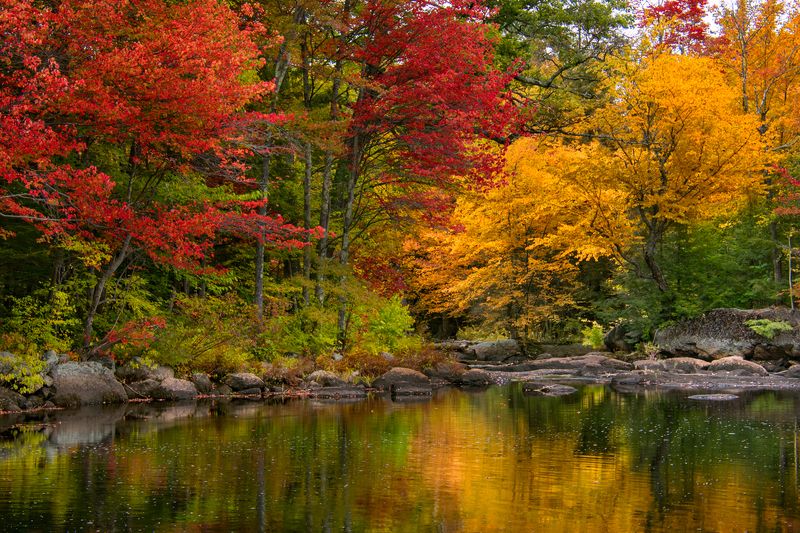 Autumn Stream фото превью