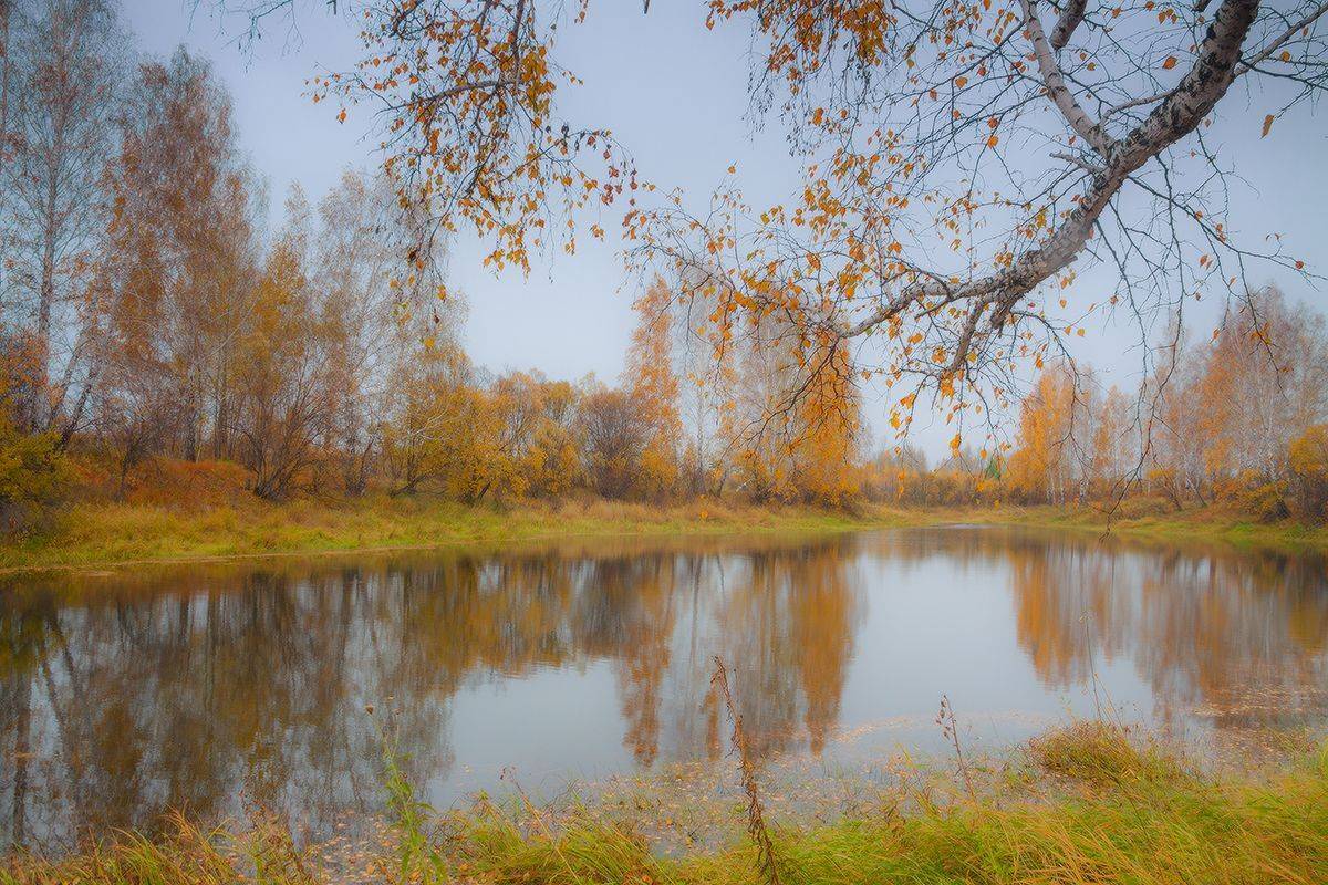 Пасмурный сентябрь. Автор: Николай М , Николай М