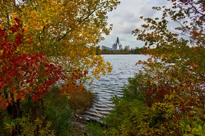 Autumn... фото превью