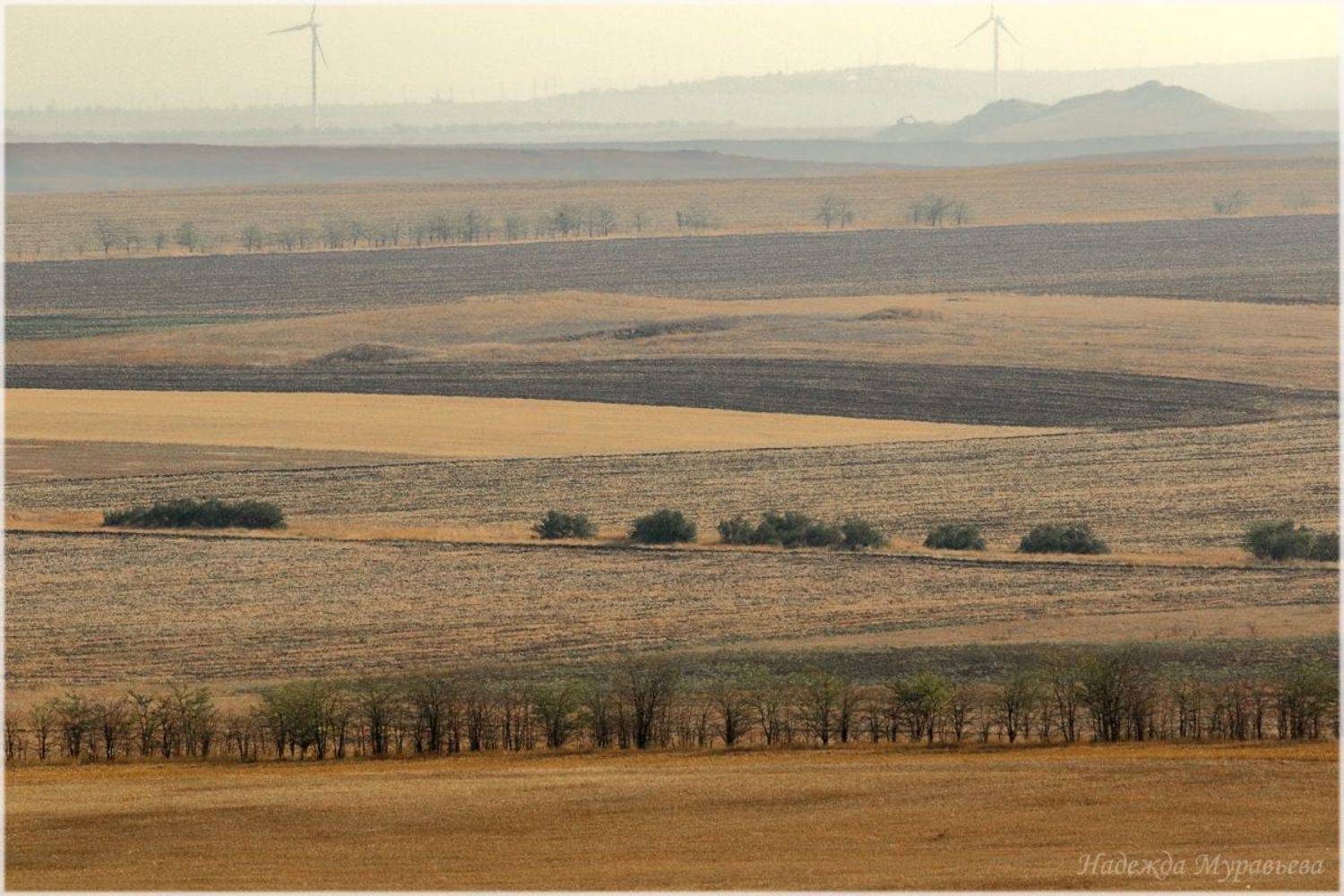 крым, керченский полуостров, ветряки, степь, Надежда Муравьёва