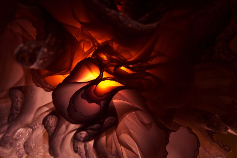 Свадебное платье, свадьба, wed? wedding  Свадебное платье, вид снизу  фото превью