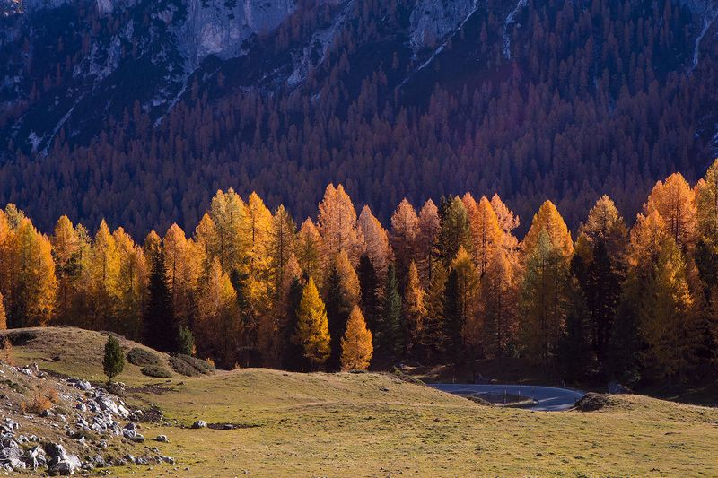 Альпийская осень фото превью