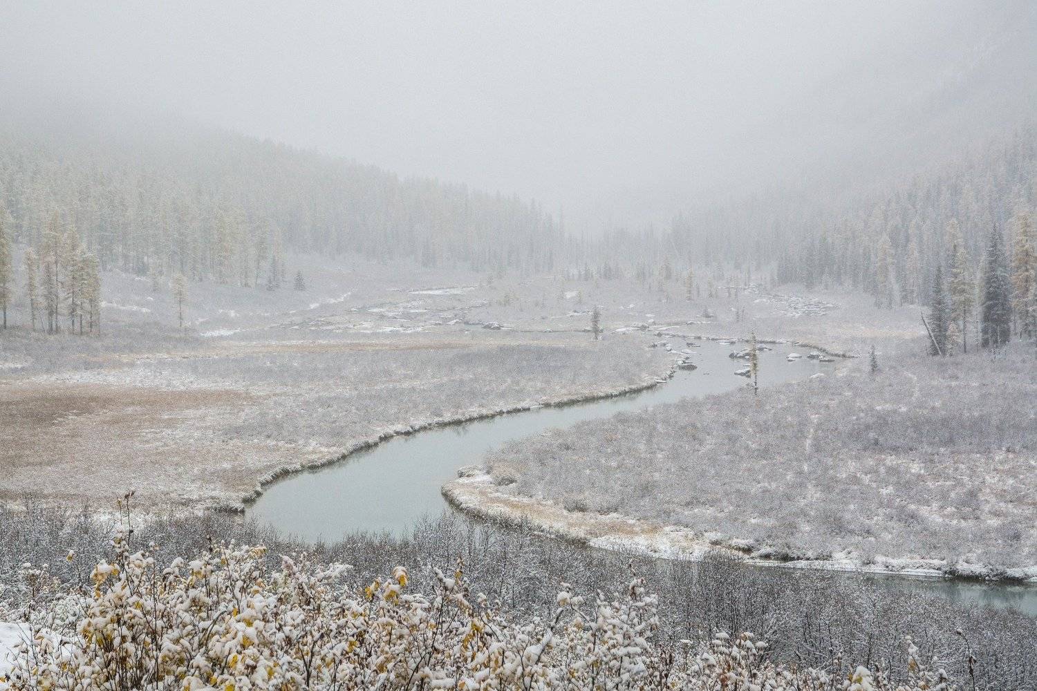 алтай,осень, Алексей Кретов