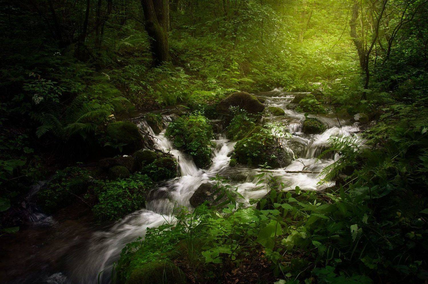 , Сорокин Алексей