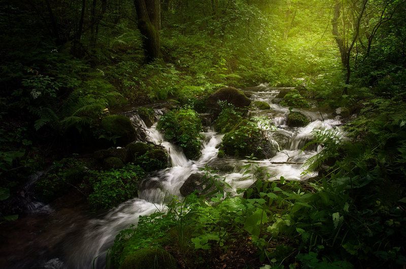 Таежный ручеек фото превью