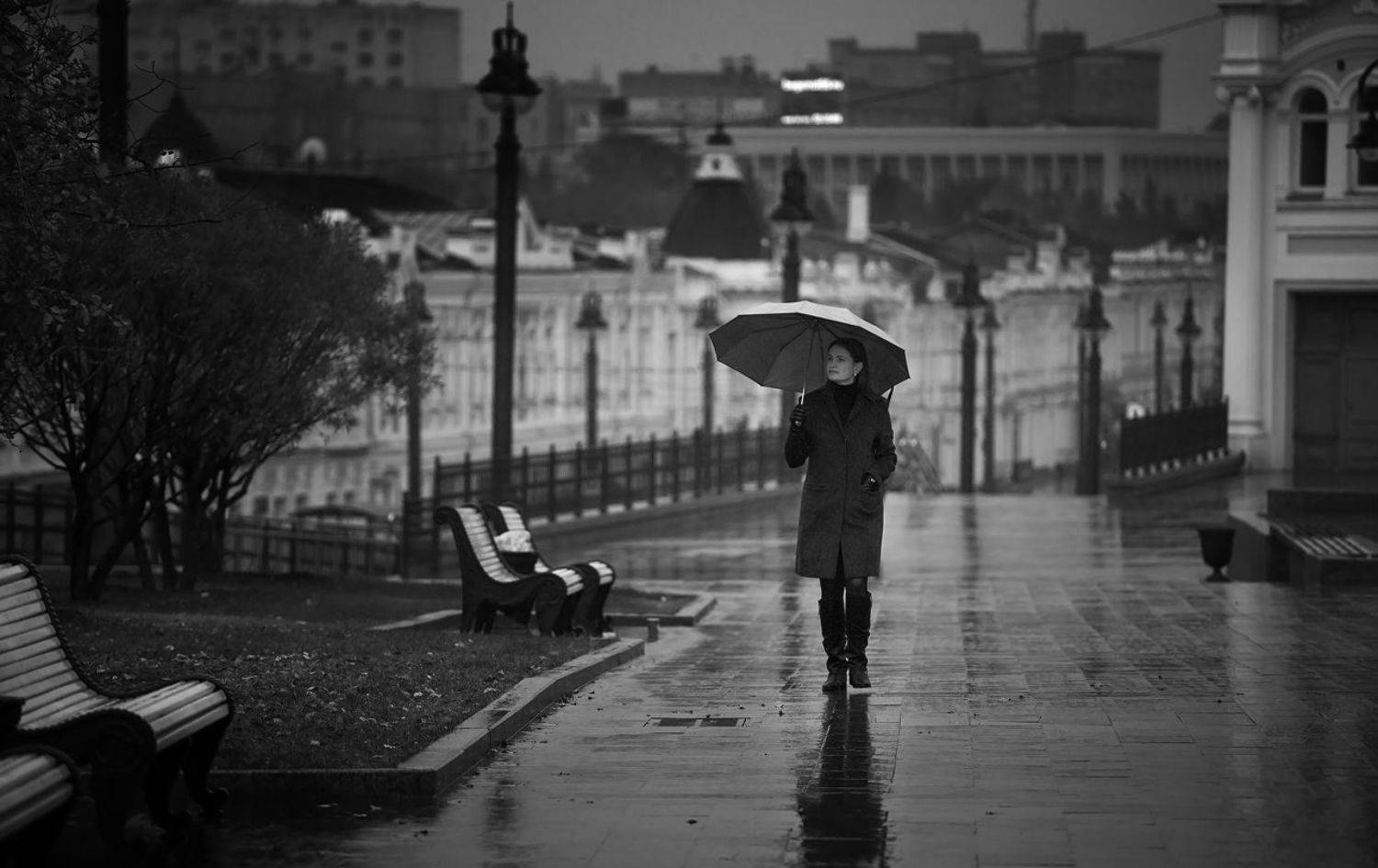 , Александр Губель