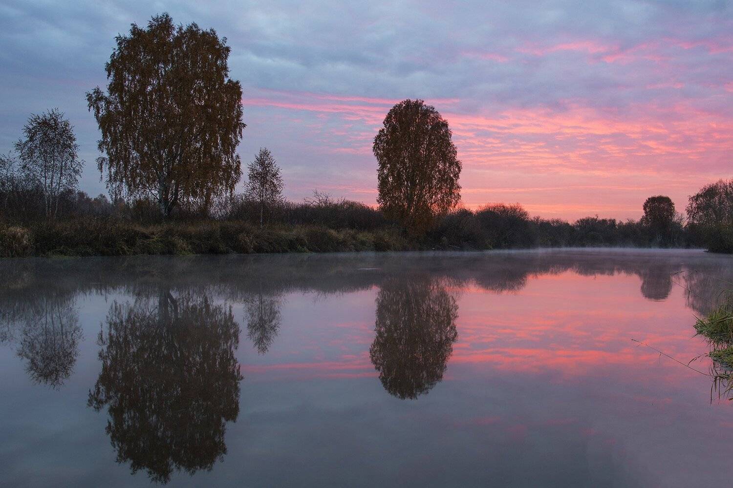 , Игорь Криницын