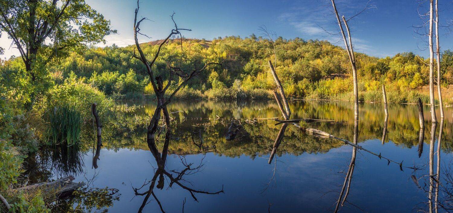 , Игорь Мелекесцев