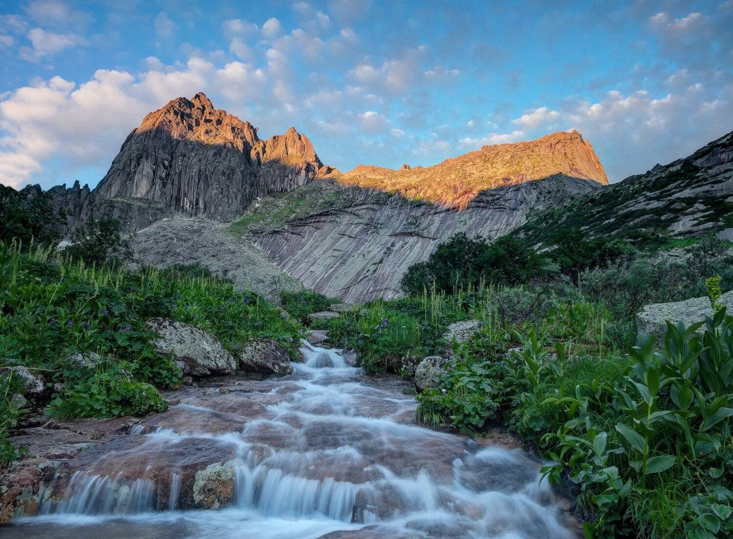 , Лещёнок Александр
