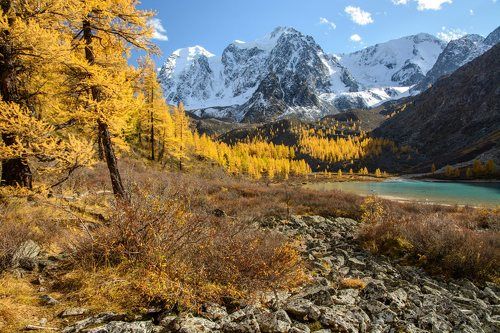 щедрые краски осени