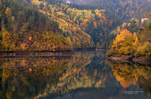 Autumn vibes