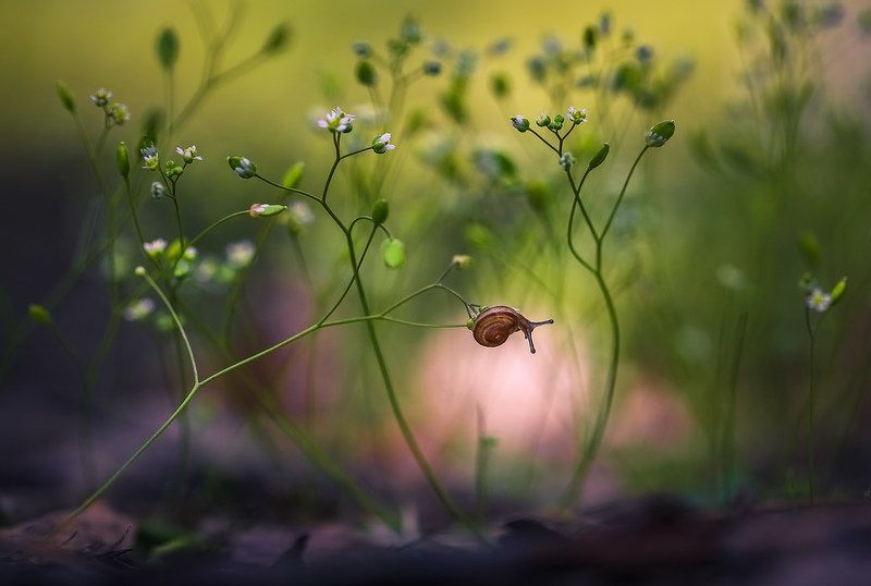Свет в конце туннеля фото превью