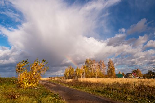 Дороги осени