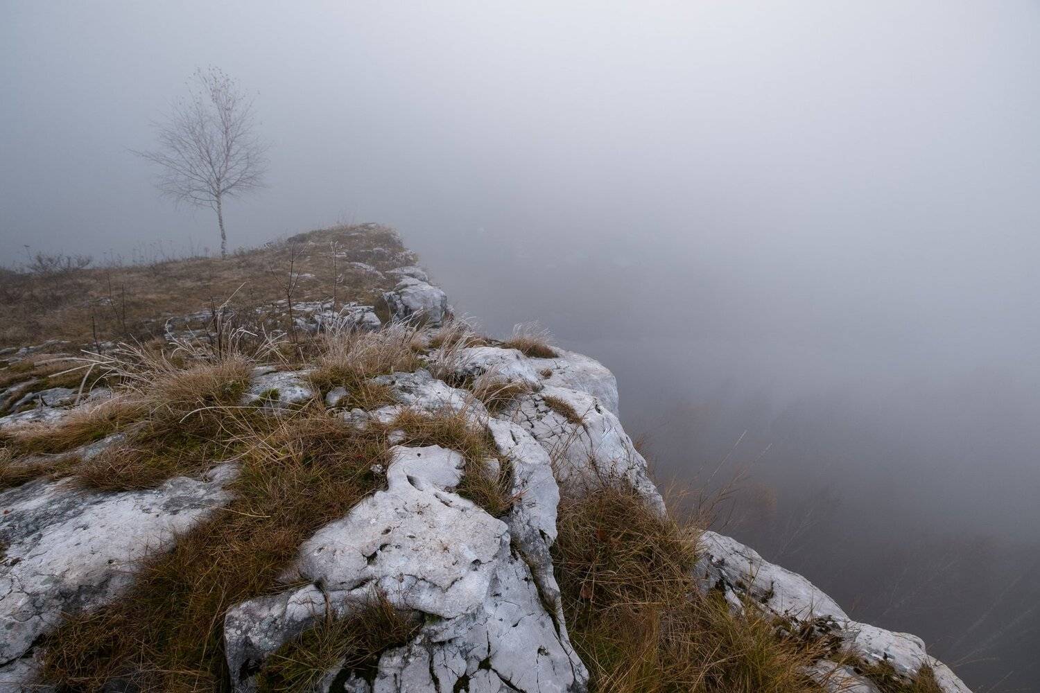 туман, скалы, осень, октябрь, одинокое дерево, иней, Савицкий Ян