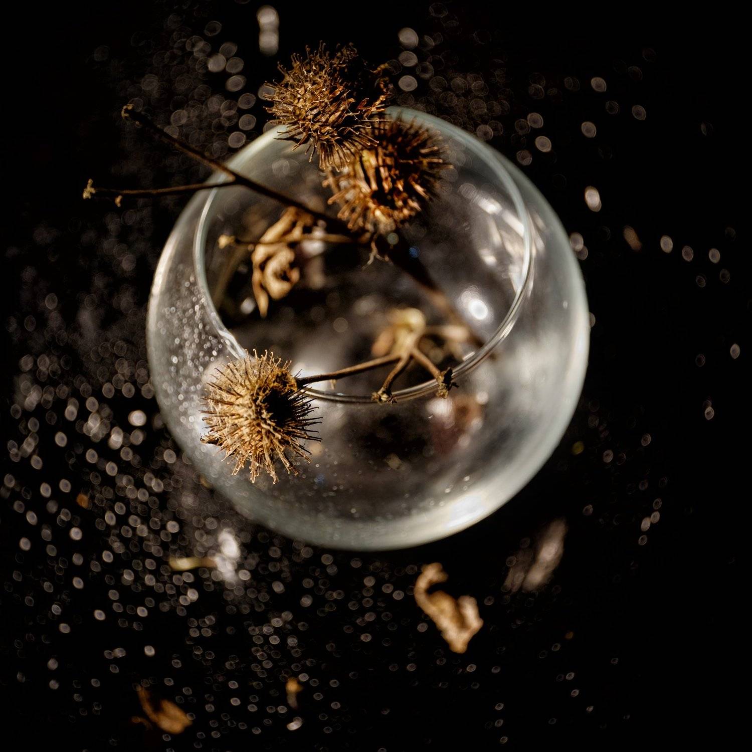 , Оксана Клименкова