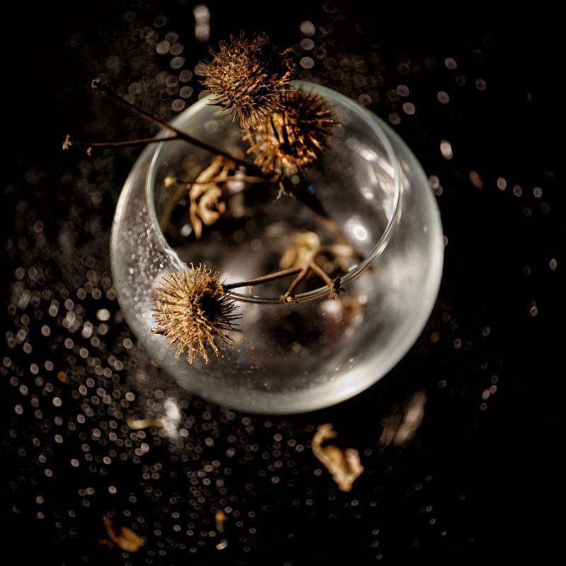 Репейник фото превью