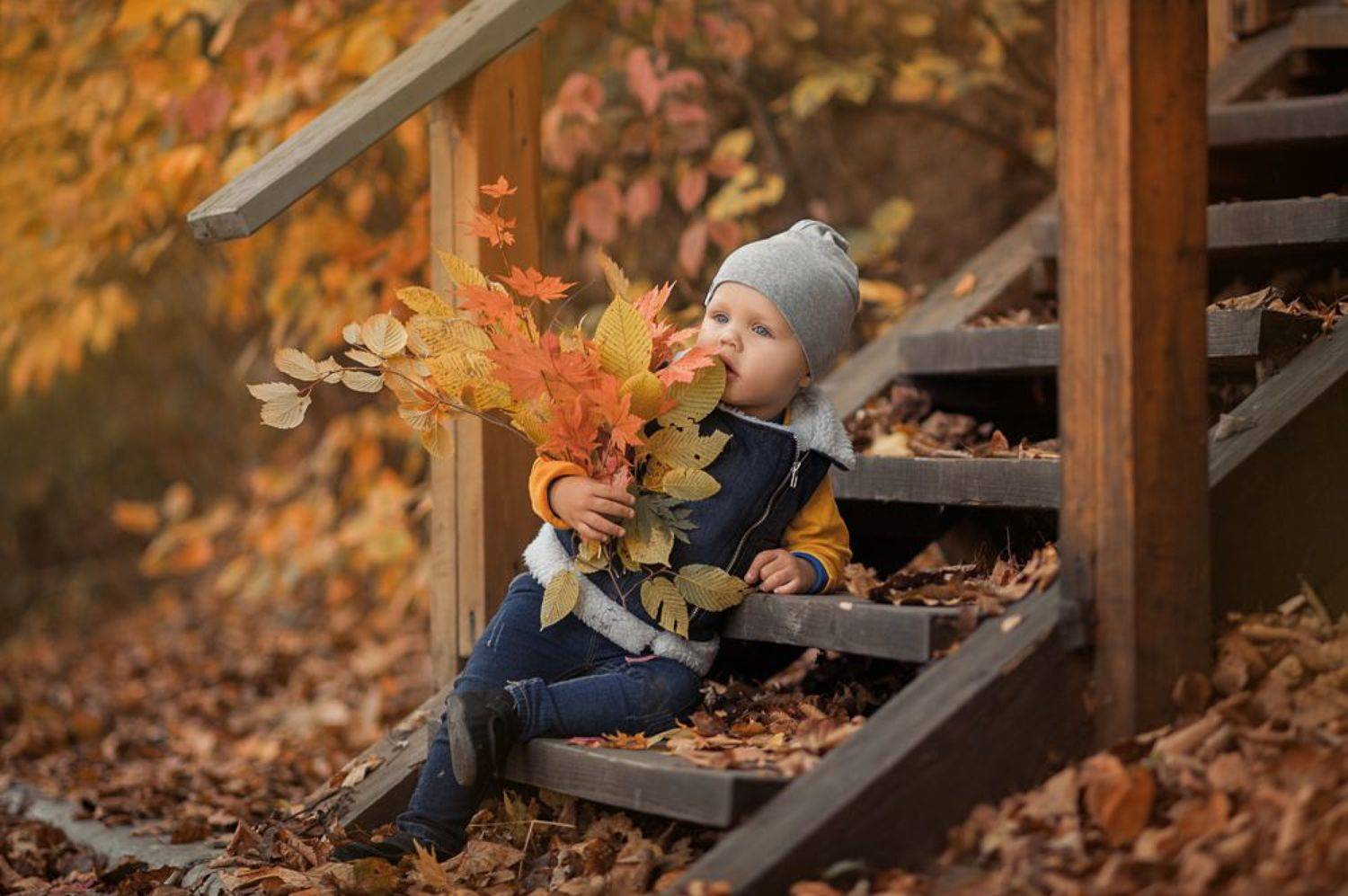 малыш осень ребенок мальчик осенняя пора очей чарование, Павлова Александра