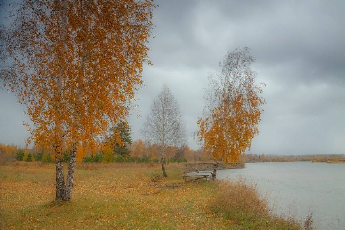 Пасмурный сентябрь (3). Автор: Николай М , Николай М