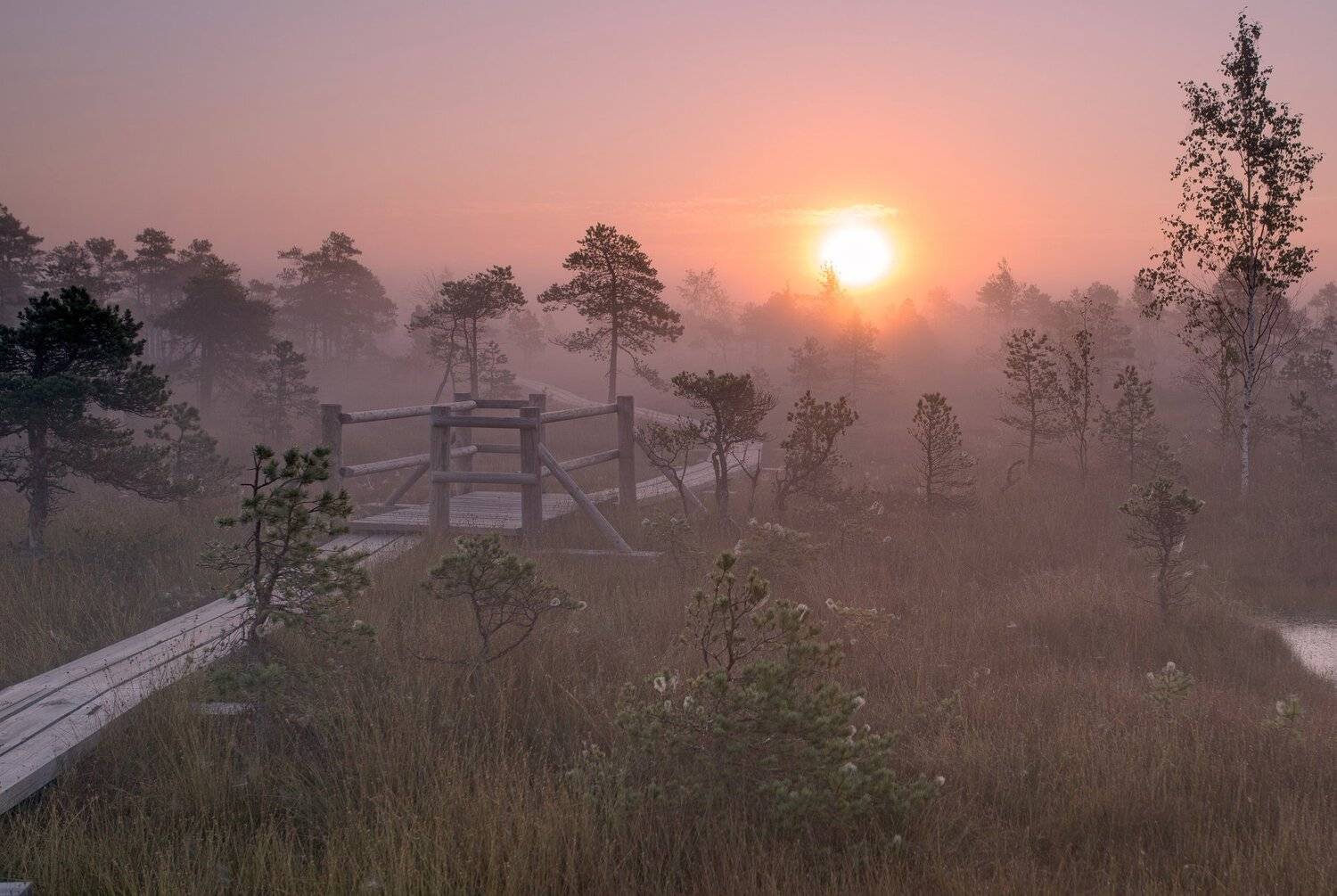 Latvia, Edgars Gerskovics
