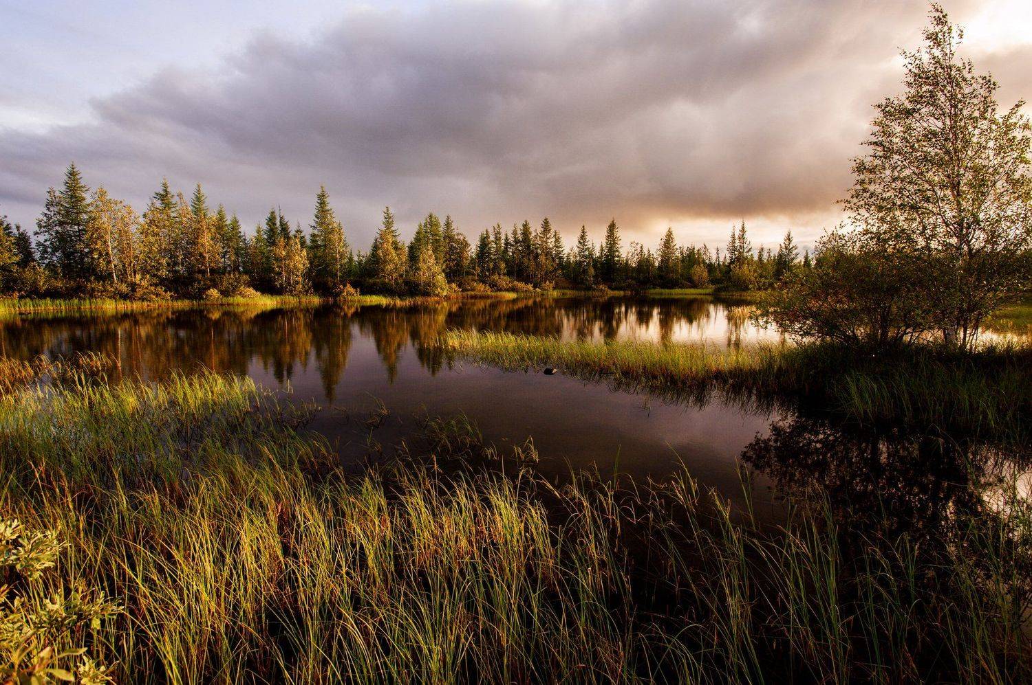 , Роман Чудинович