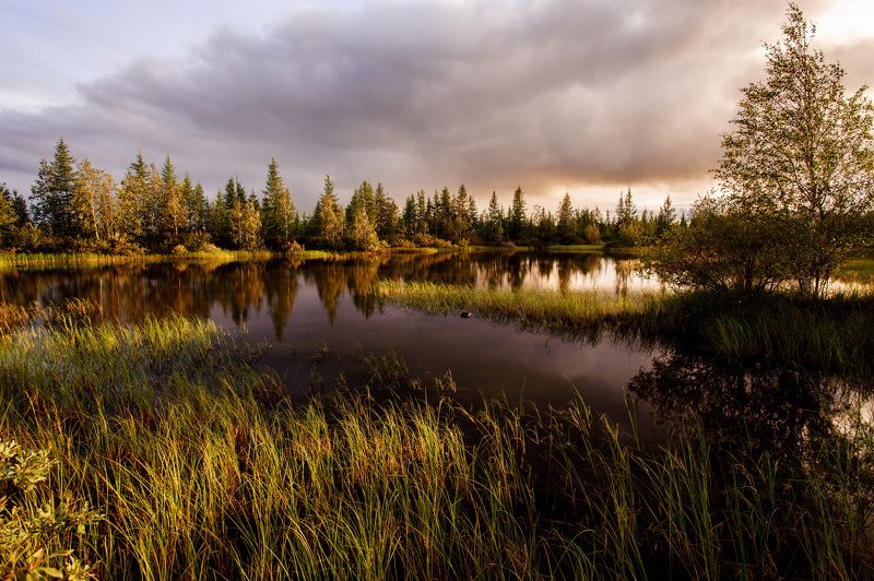 Осень. Север.  фото превью